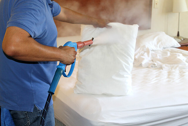 steamer to kill bed bugs