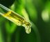 Use CBD Oil And You Will Gain A Lot Of Benefits.